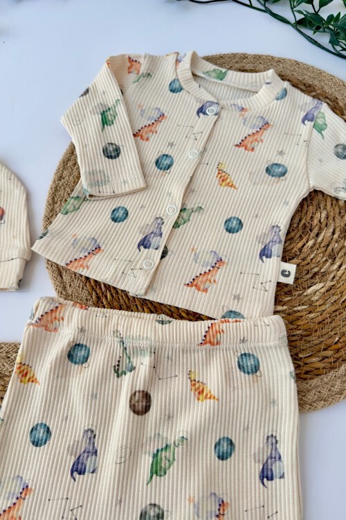 0-3 AY DİNAZOR DESENLİ ÜÇLÜ TAKIM