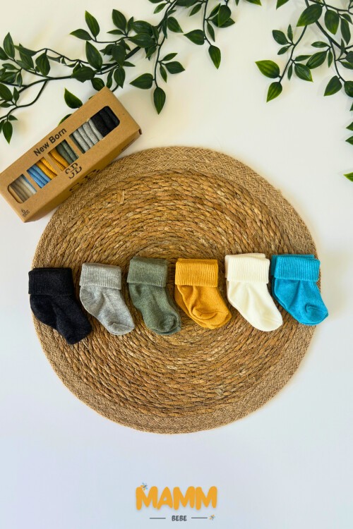 6 RENK KUTULU ÇORAP 1004