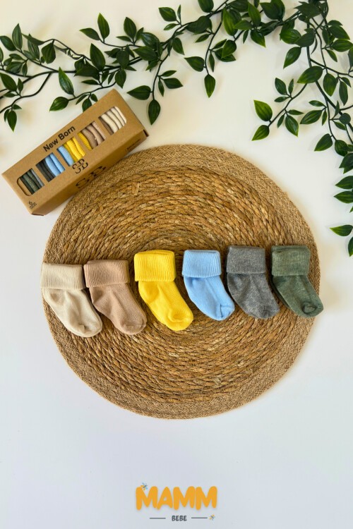 6 RENK KUTULU ÇORAP 1009