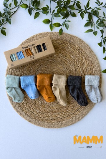 6 RENK KUTULU ÇORAP 1011